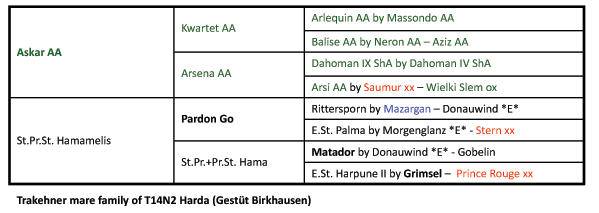 Halimey pedigree