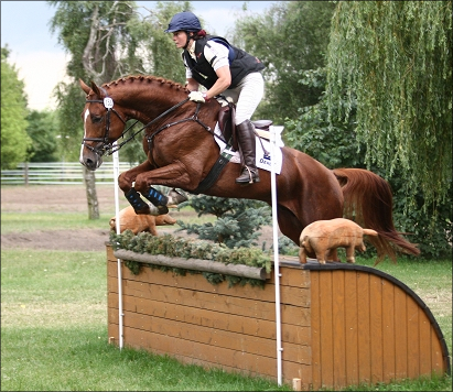 Lucky jumping 3. Photos by
                              Tierfotografie Huber.