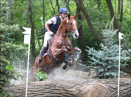 Lucky jumping. Photos by
                              Tierfotografie Huber.