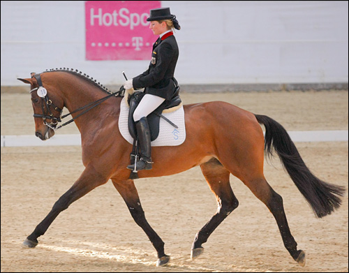 Halimey extended trot