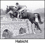 Habicht